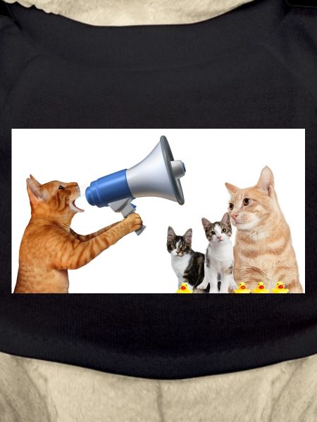 Cat Law