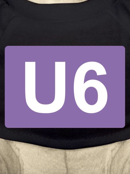 Berlin U-Bahn U6