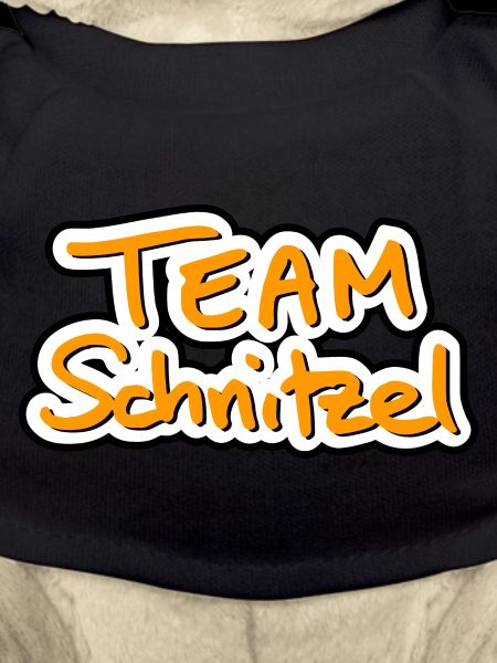 Team Schnitzel