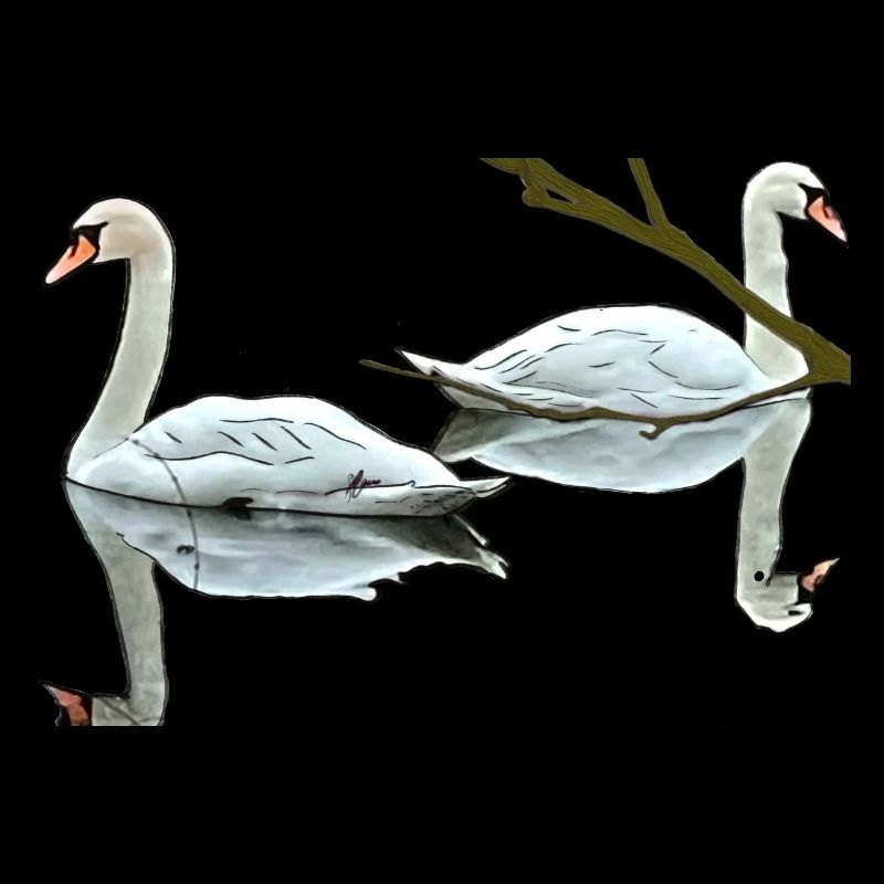 Swans