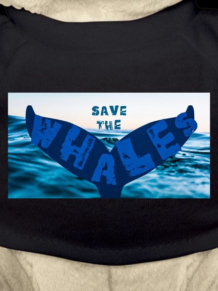 Save the whales
