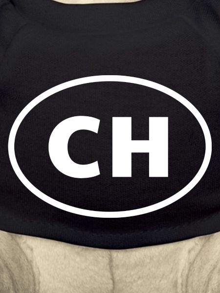 Ch