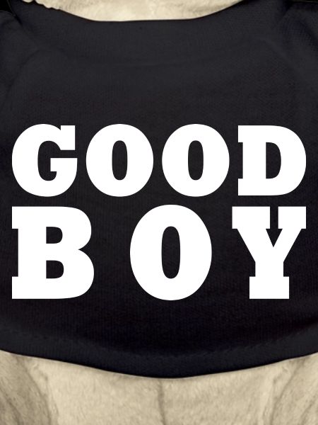 Good boy