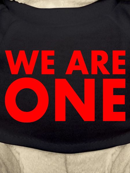 We are one