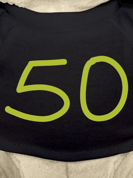 50e anniversaire cinquante numéro vert