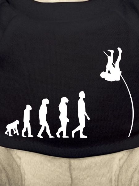 Saut à la perche évolution