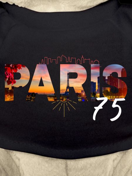 Paris Skyline Cutout 75