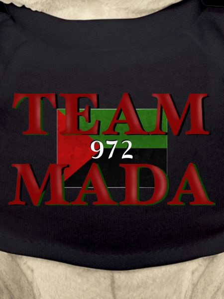 Team MADA