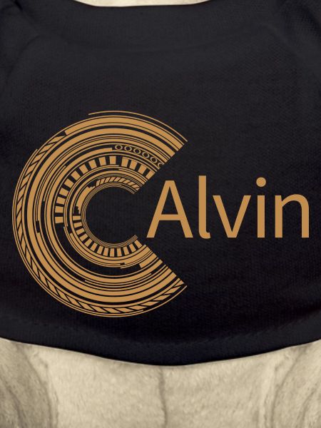 For Alvin