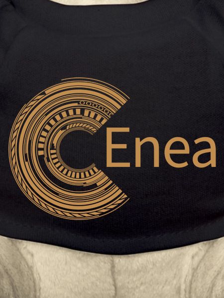 Pour Enea