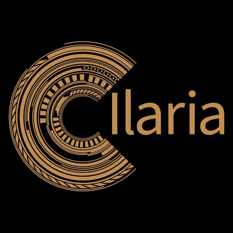 Für Ilaria