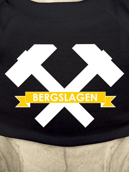 Bergslagen