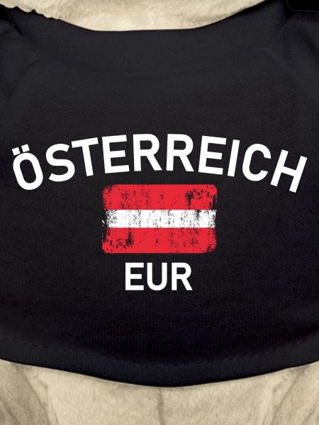 Austria Arc Flag Distressed Logo