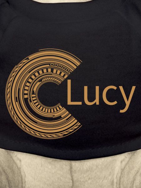 For Lucy