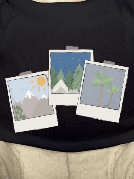 Bilder Trio