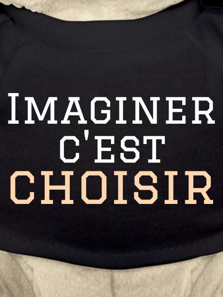 imaginer c'est choisir