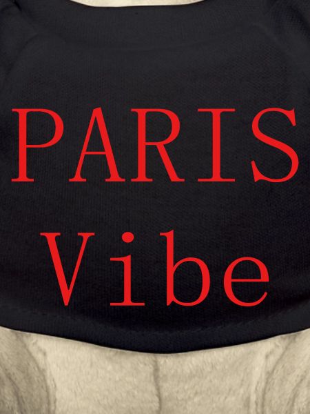 ParisVibe