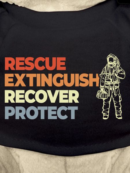 Rescue, Extinguish, Recover, Protect