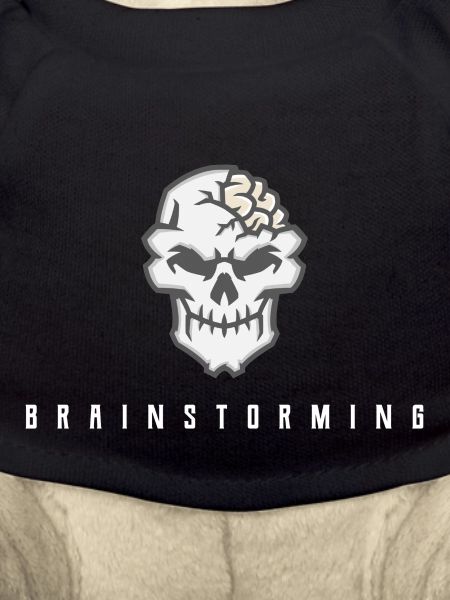 Brainstorming