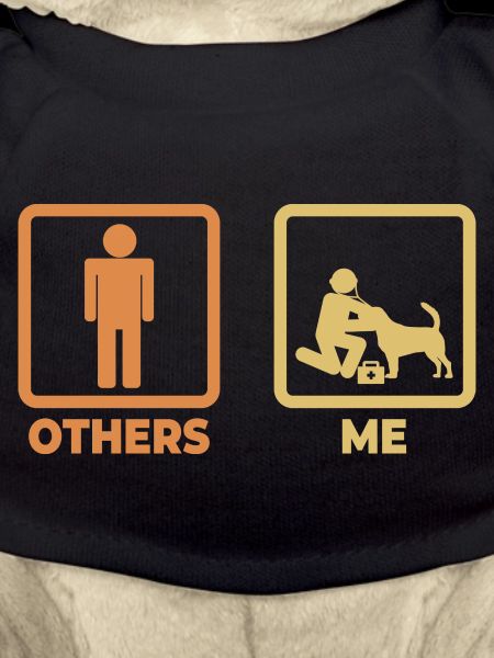 Veterinarian Stick Figures
