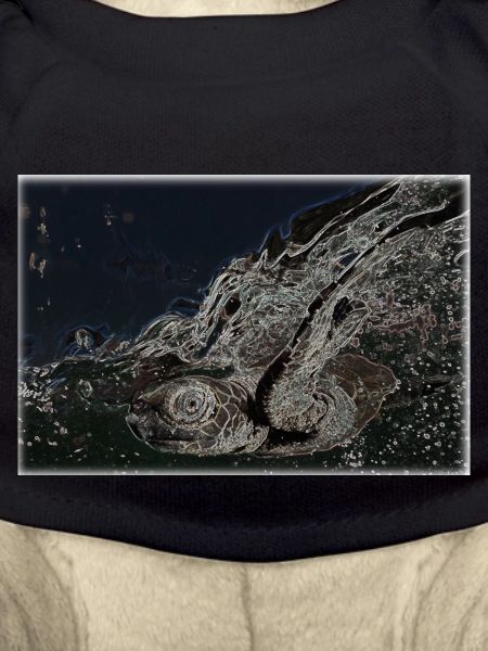 Schildi, Turtle