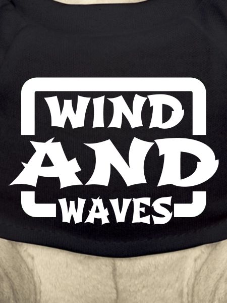 Windsurfing Present Windsurfing Tricks