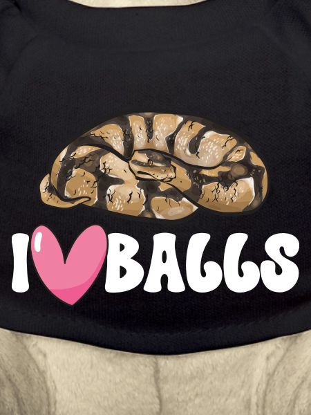 Ball Python Snake King Python