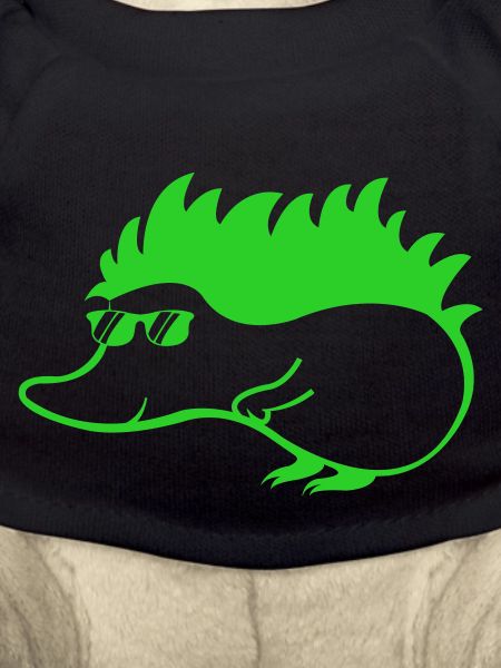 Cool Hedgehog 1
