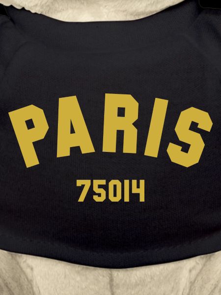 PARIS 14th arrondissement