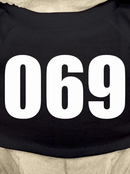 069_ffm_cho_frankfurt_babo_shirt_geschenk