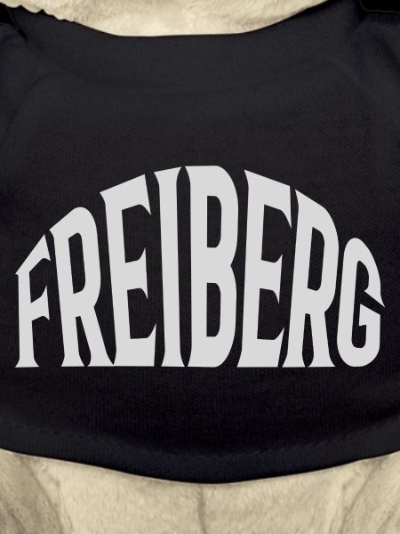Freiberg