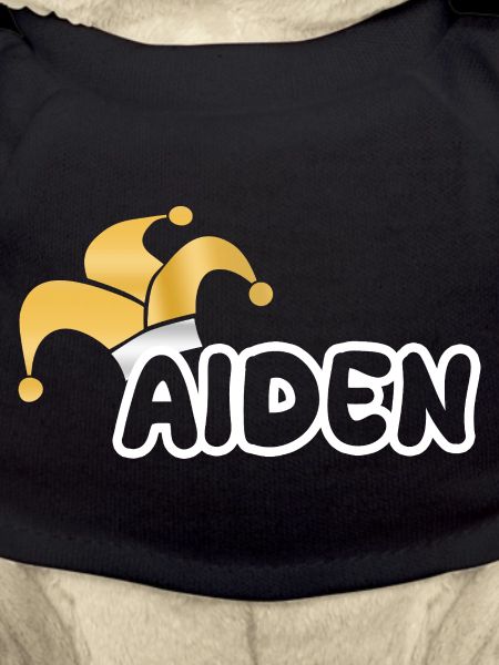 Carnaval Aiden
