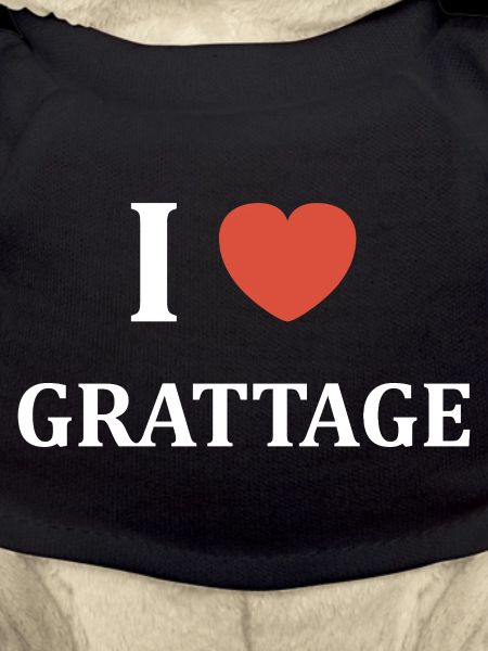Ich mag Scratching — Red Heart