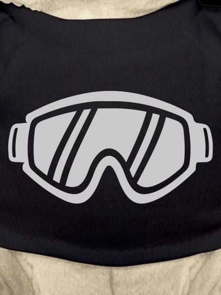 Lunettes de ski