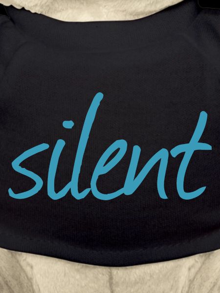 Silencieux