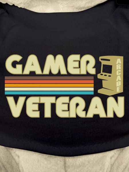 Gamer vétéran 