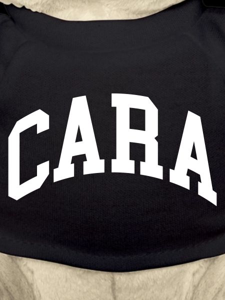 Cara