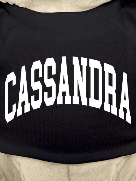 Cassandra
