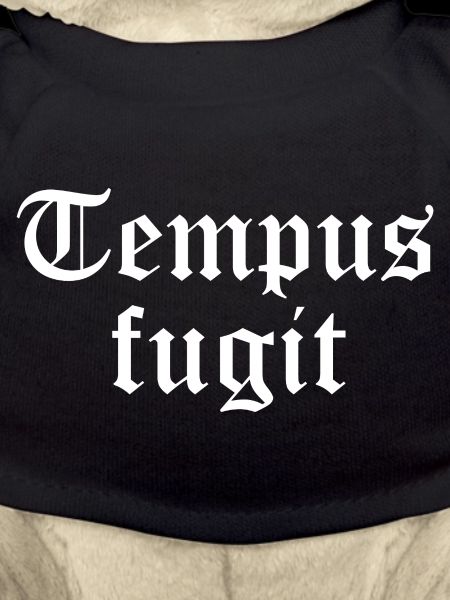 tempus fugit