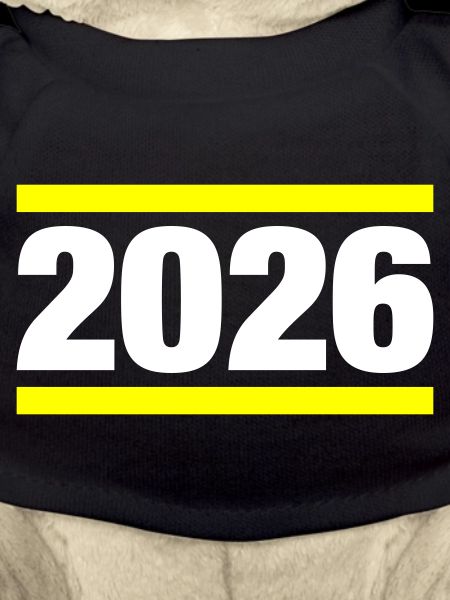 2026 year