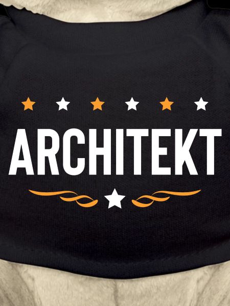 Architekt Beruf