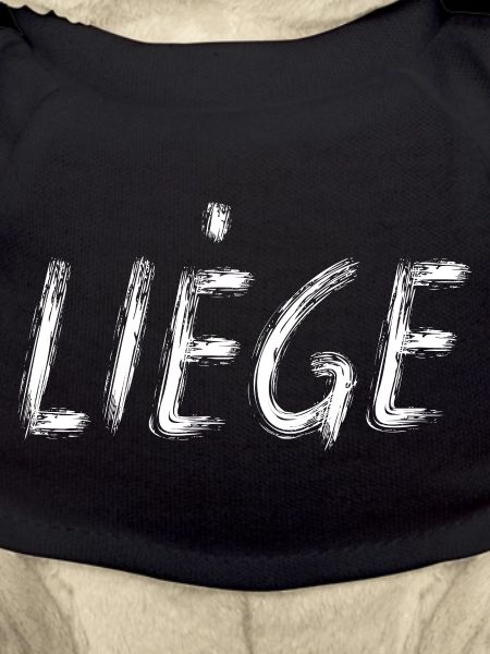 Liege City Brush Script