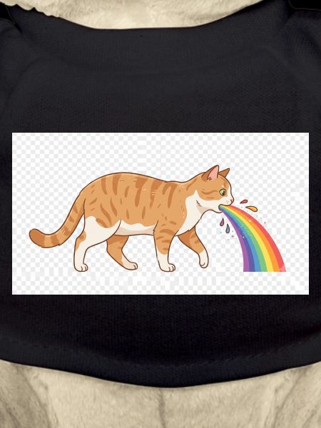 Cat Spitting Rainbow