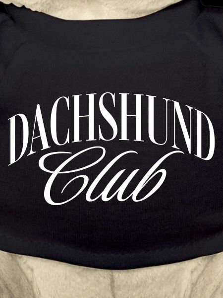 Dachshund Club