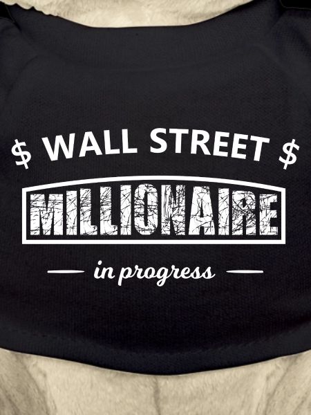 Wall Street Millionaire in Progress