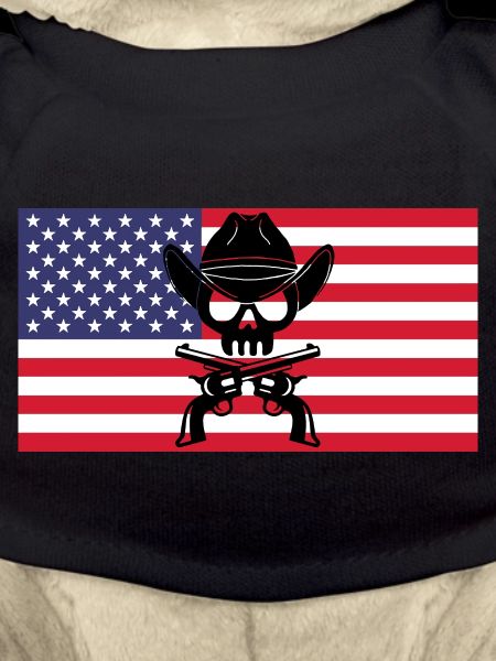 Cowboy skull and American flag