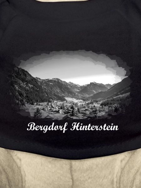 Mountain village Hinterstein