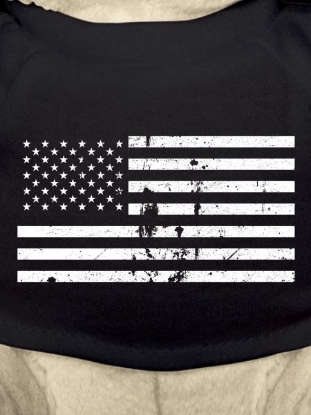 USA flag