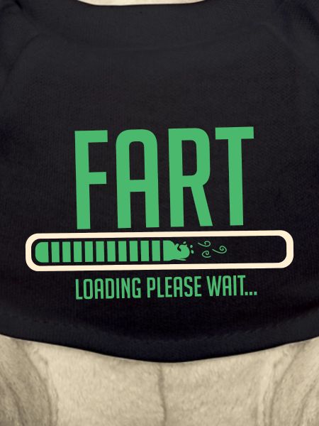 FART LOADING