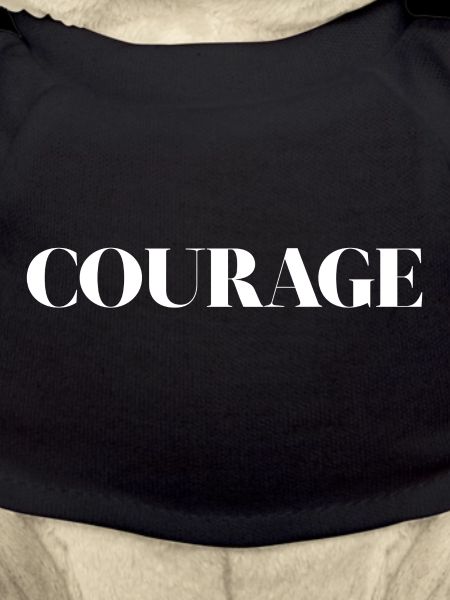 courage